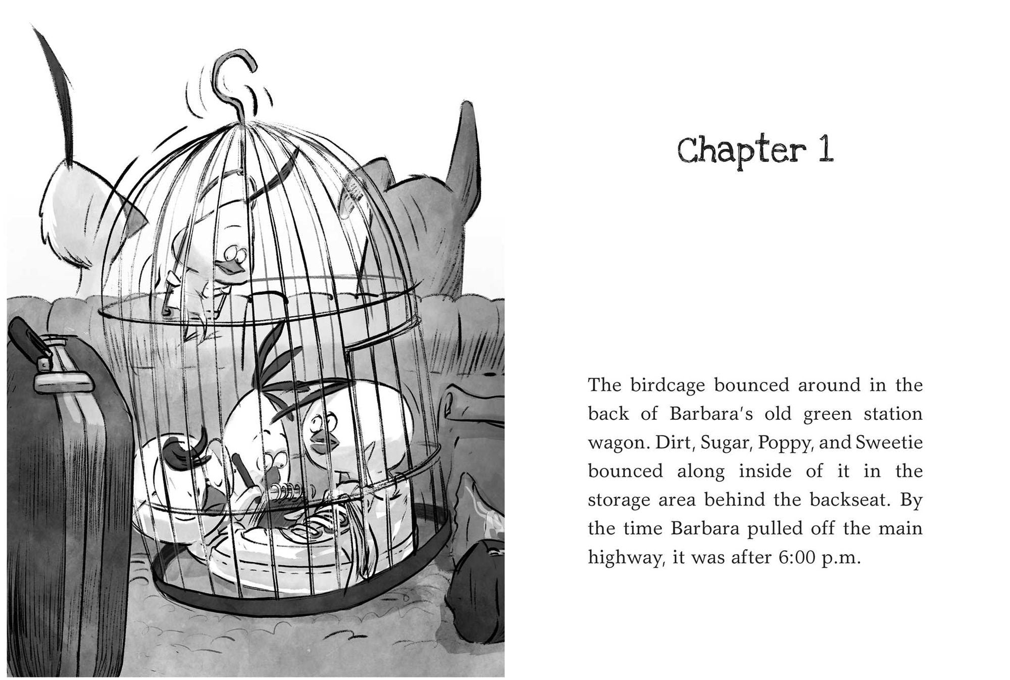 Dark Shadows: Yes, Another Misadventure (Chicken Squad Series #4)
