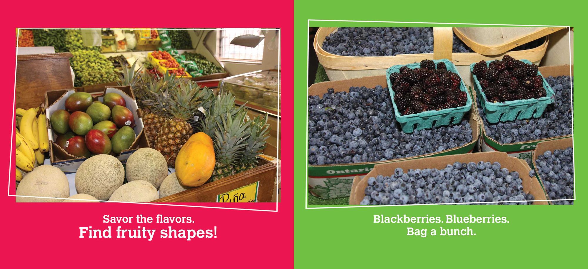 Go, Go, Grapes!: A Fruit Chant