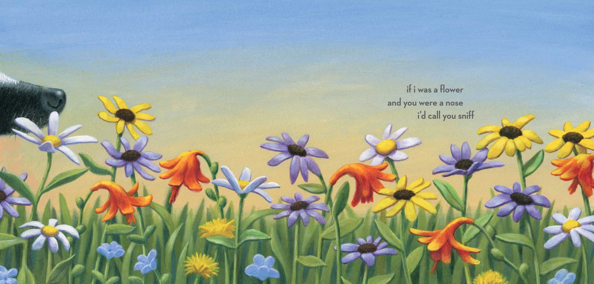 If I Was the Sunshine