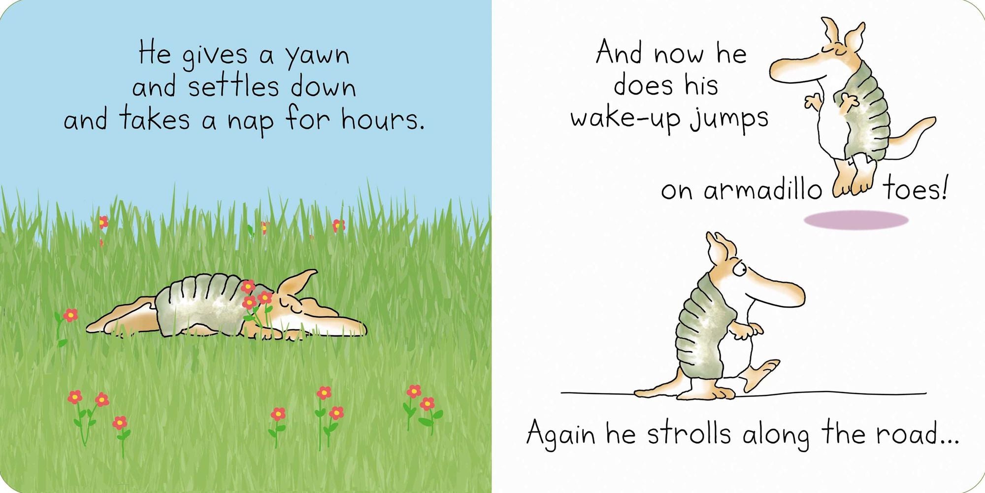 But Not the Armadillo
