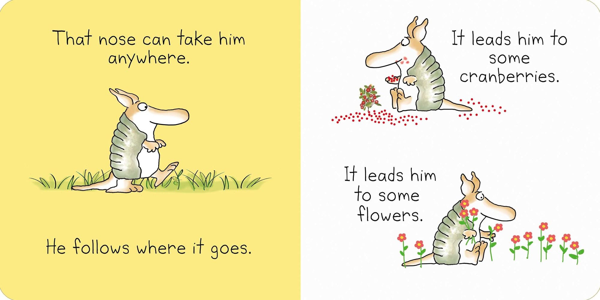 But Not the Armadillo