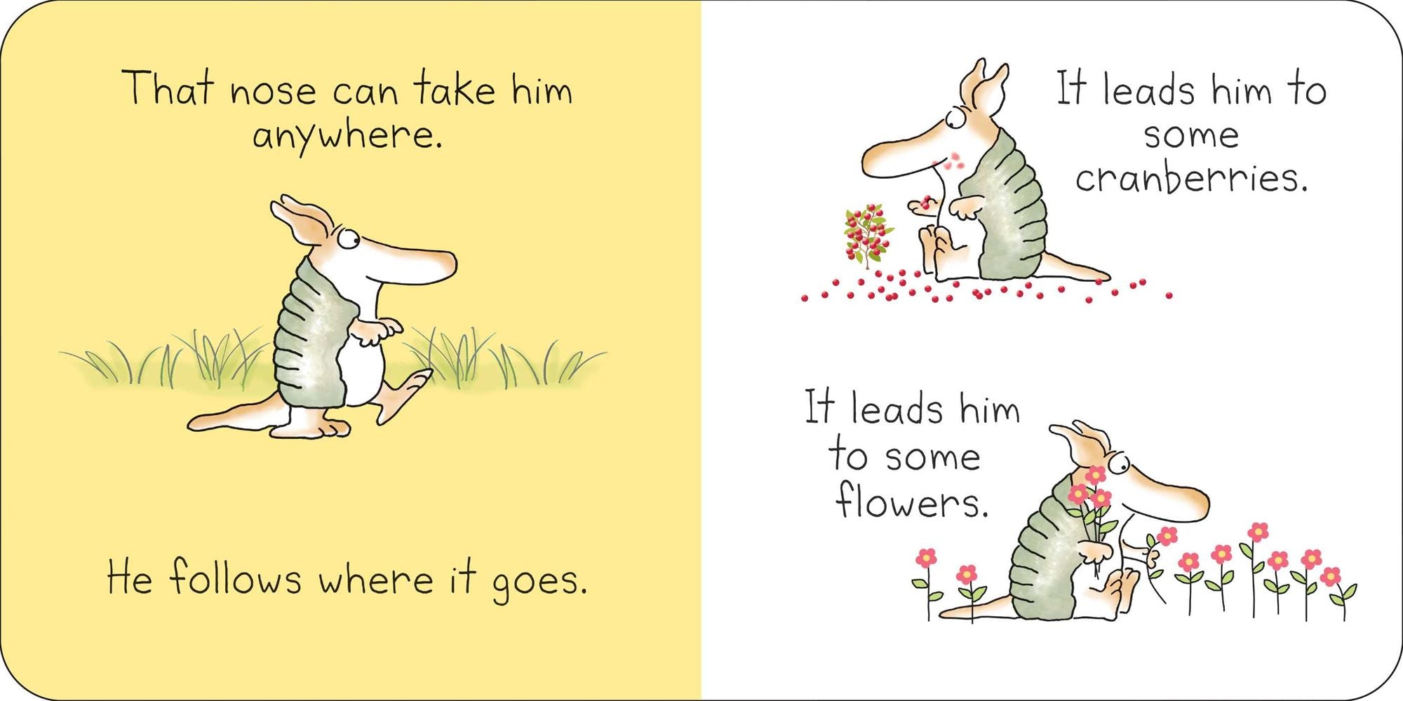 But Not the Armadillo