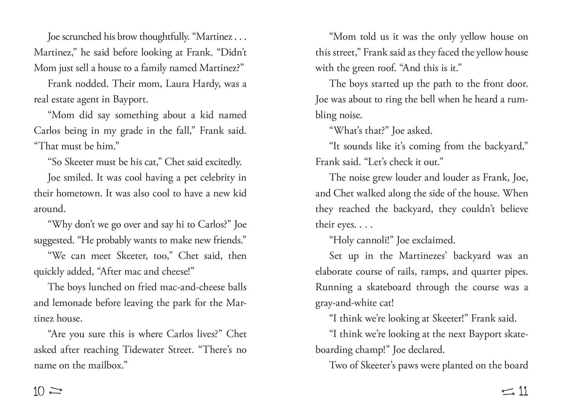A Skateboard Cat-astrophe (Hardy Boys Clue Book Series #6)