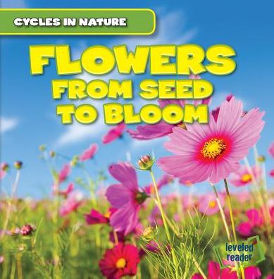 Flowers: From Seed to Bloom