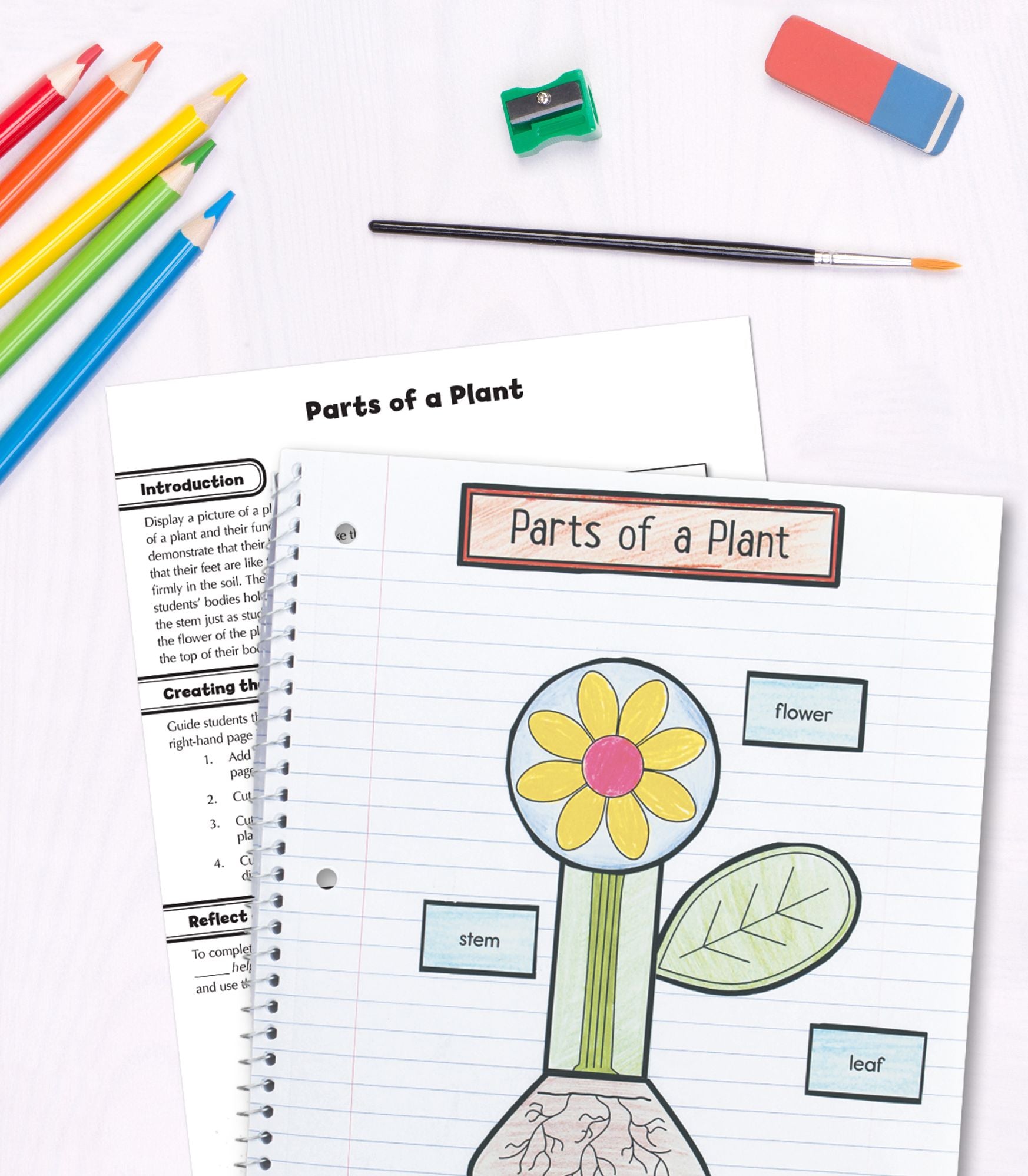 Science, Grade 1