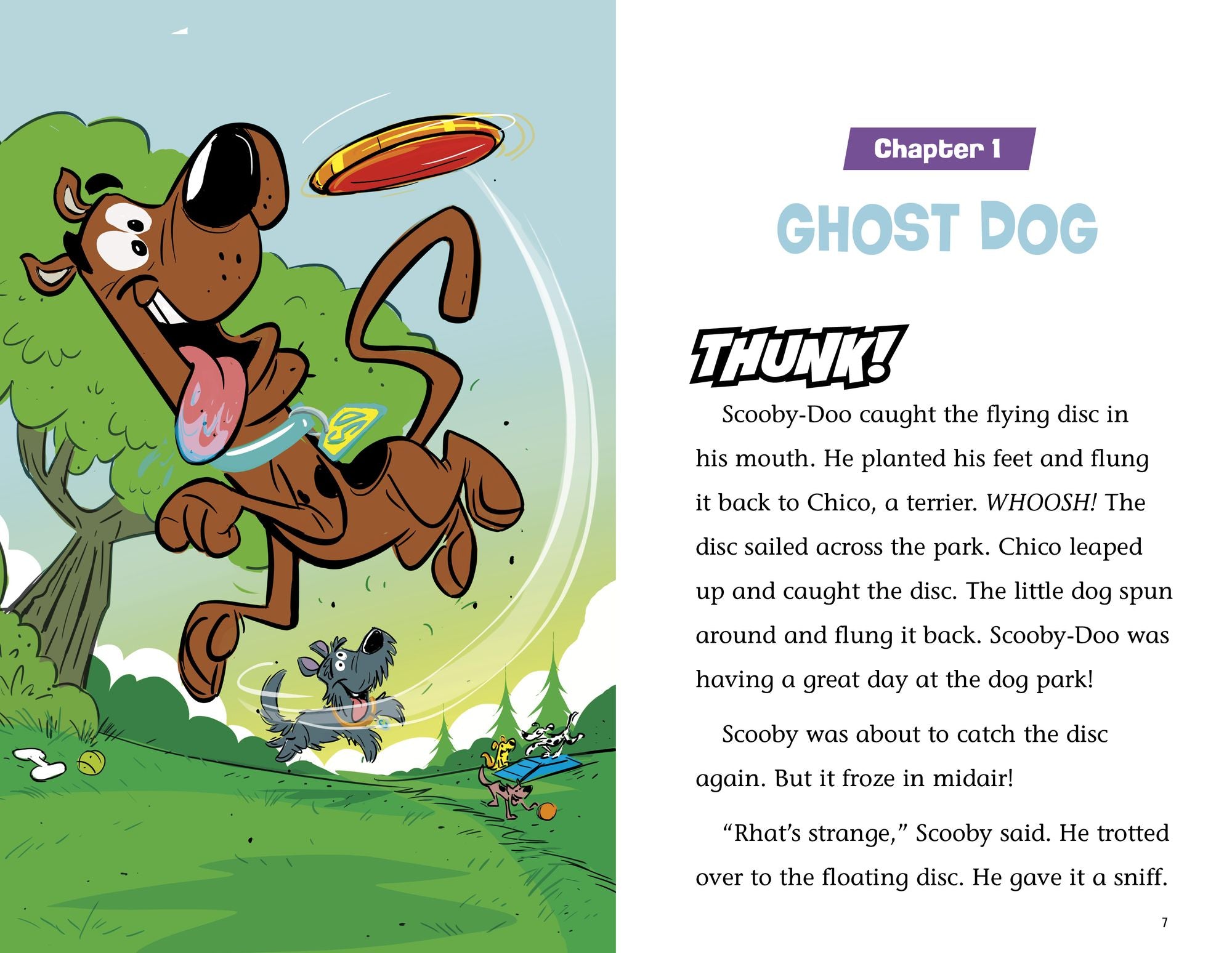 The Haunted Dog Park Mystery