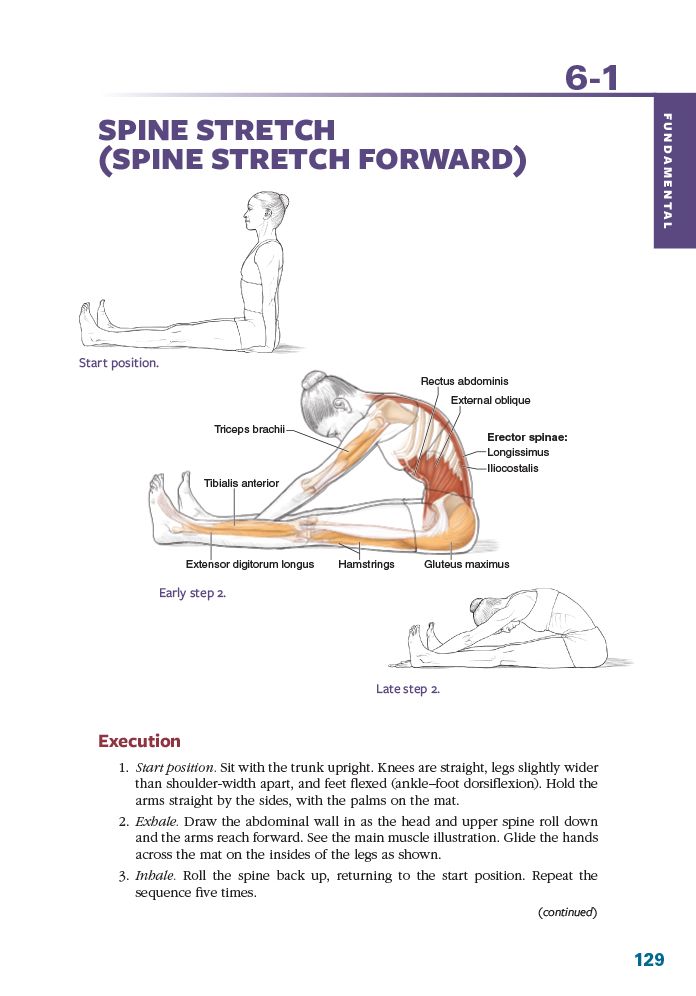 Pilates Anatomy