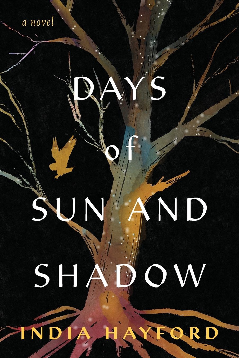 Days of Sun and Shadow