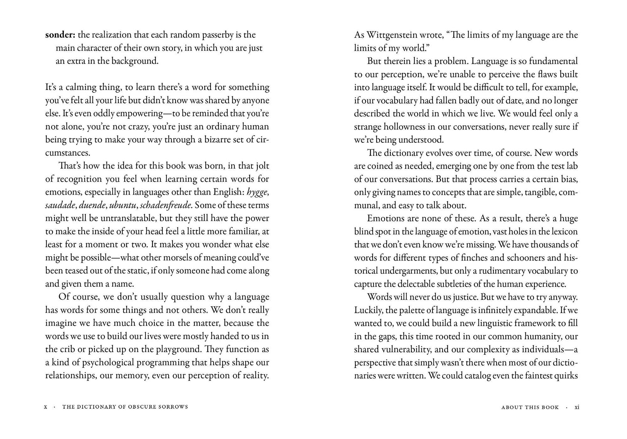 The Dictionary of Obscure Sorrows