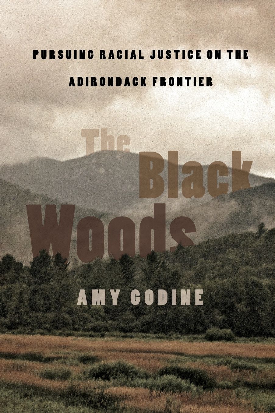 The Black Woods: Pursuing Racial Justice on the Adirondack Frontier