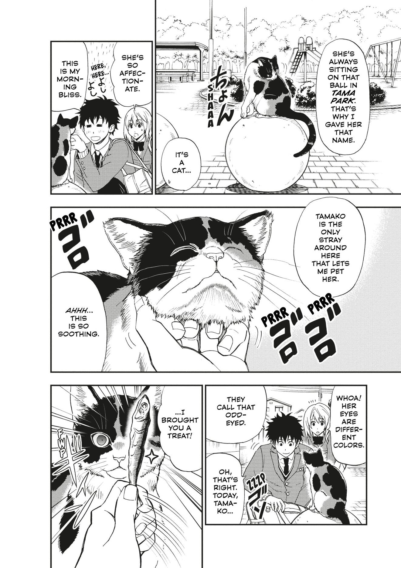 Cat + Crazy Volume 1