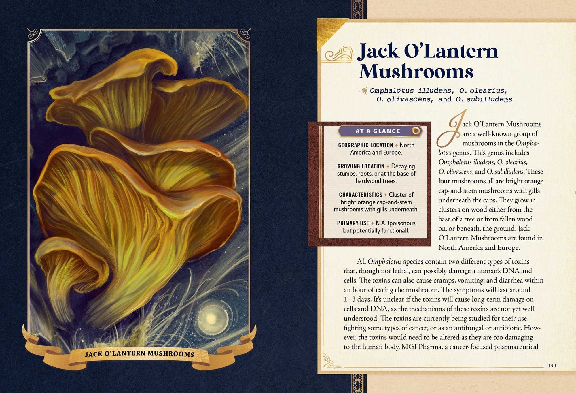 The Little Book of Mushrooms: An Illustrated Guide to the Extraordinary Power of Mushrooms