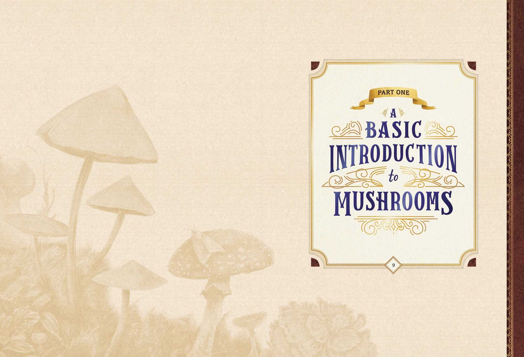 The Little Book of Mushrooms: An Illustrated Guide to the Extraordinary Power of Mushrooms