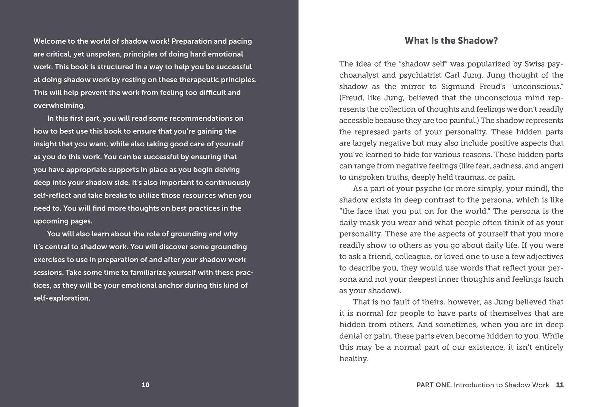 The Shadow Work Workbook: Self-Care Exercises for Healing Your Trauma and Exploring Your Hidden Self