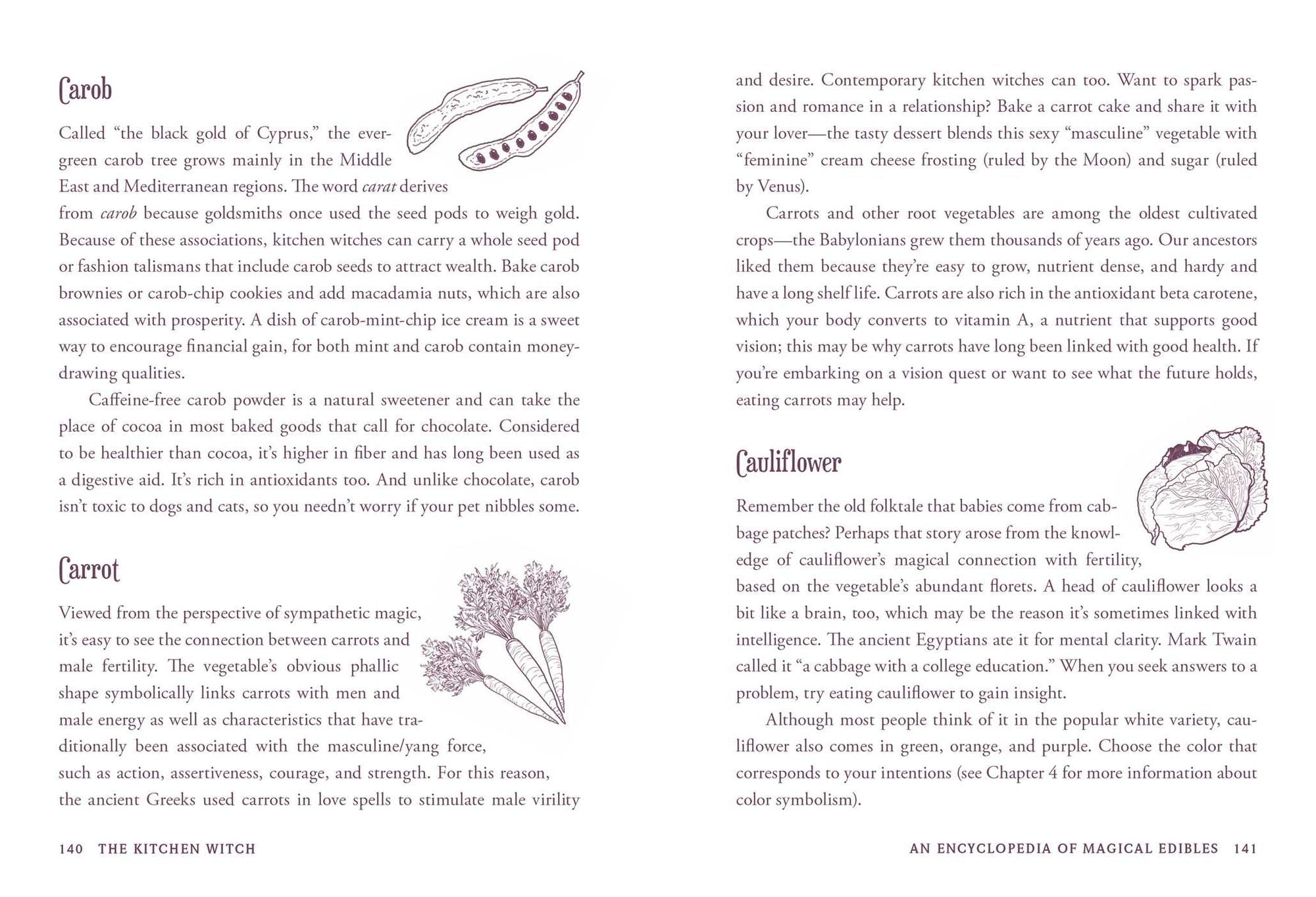 The Kitchen Witch: Your Complete Guide to Creating a Magical Kitchen with Natural Ingredients, Sacred Rituals, and Spellwork