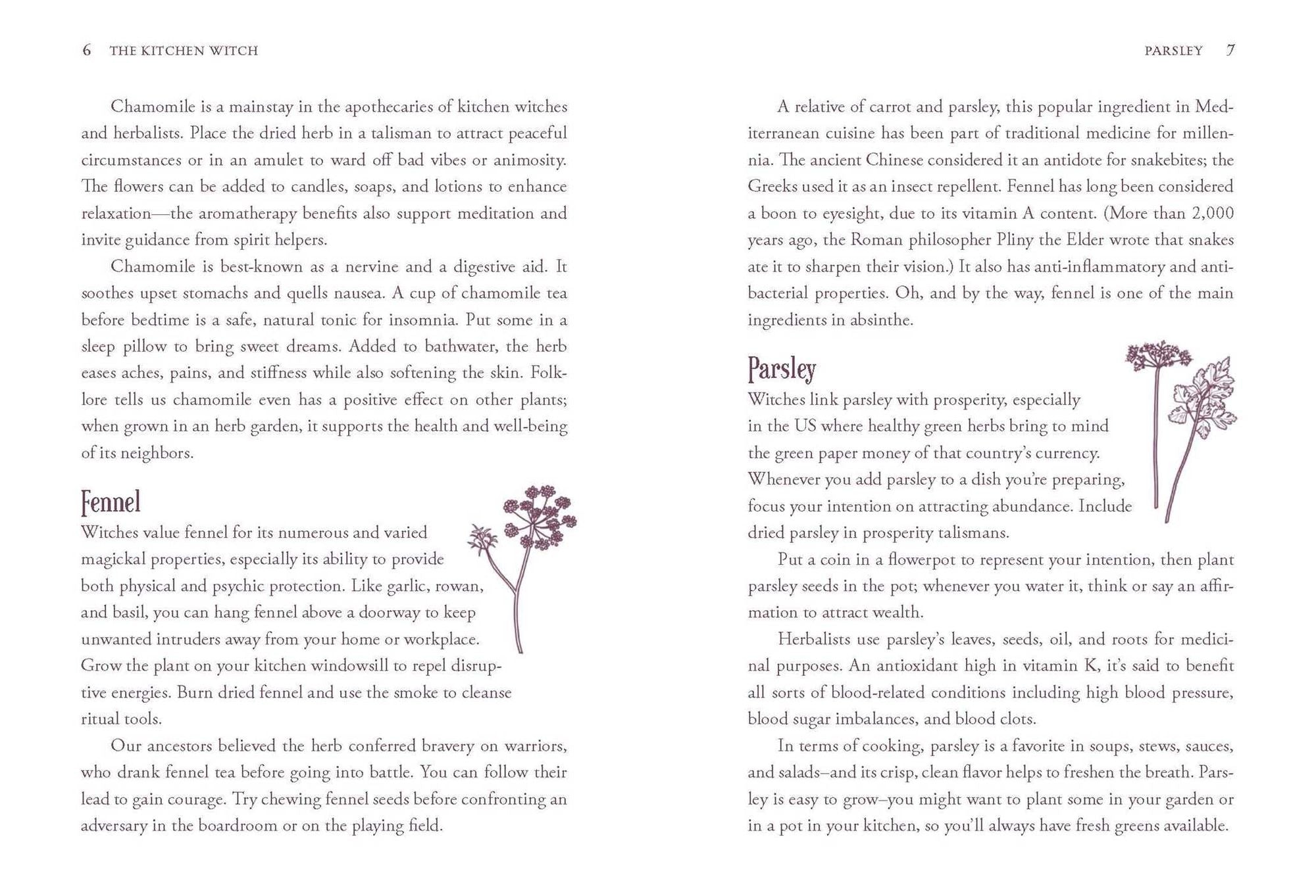 The Kitchen Witch: Your Complete Guide to Creating a Magical Kitchen with Natural Ingredients, Sacred Rituals, and Spellwork