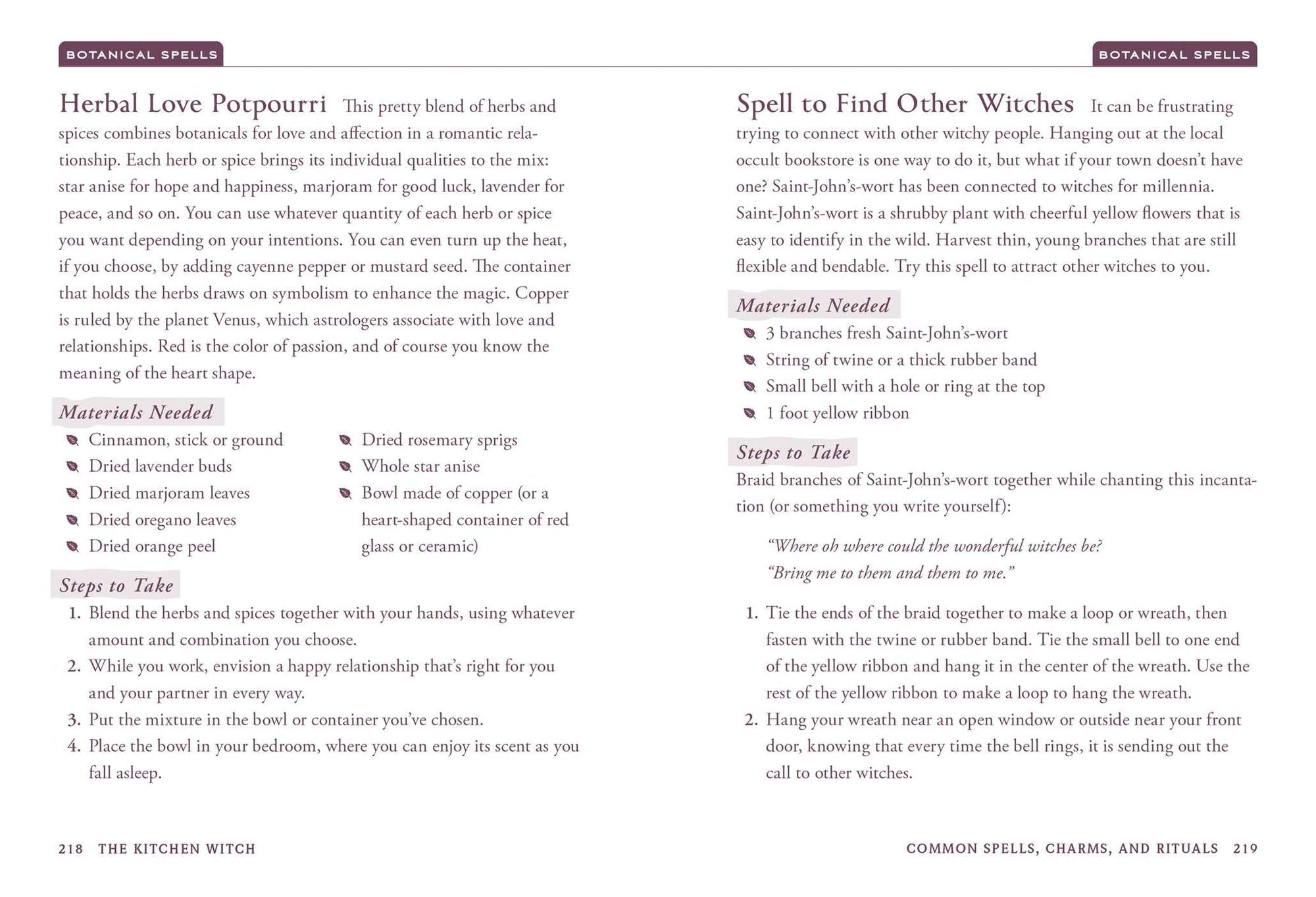 The Kitchen Witch: Your Complete Guide to Creating a Magical Kitchen with Natural Ingredients, Sacred Rituals, and Spellwork