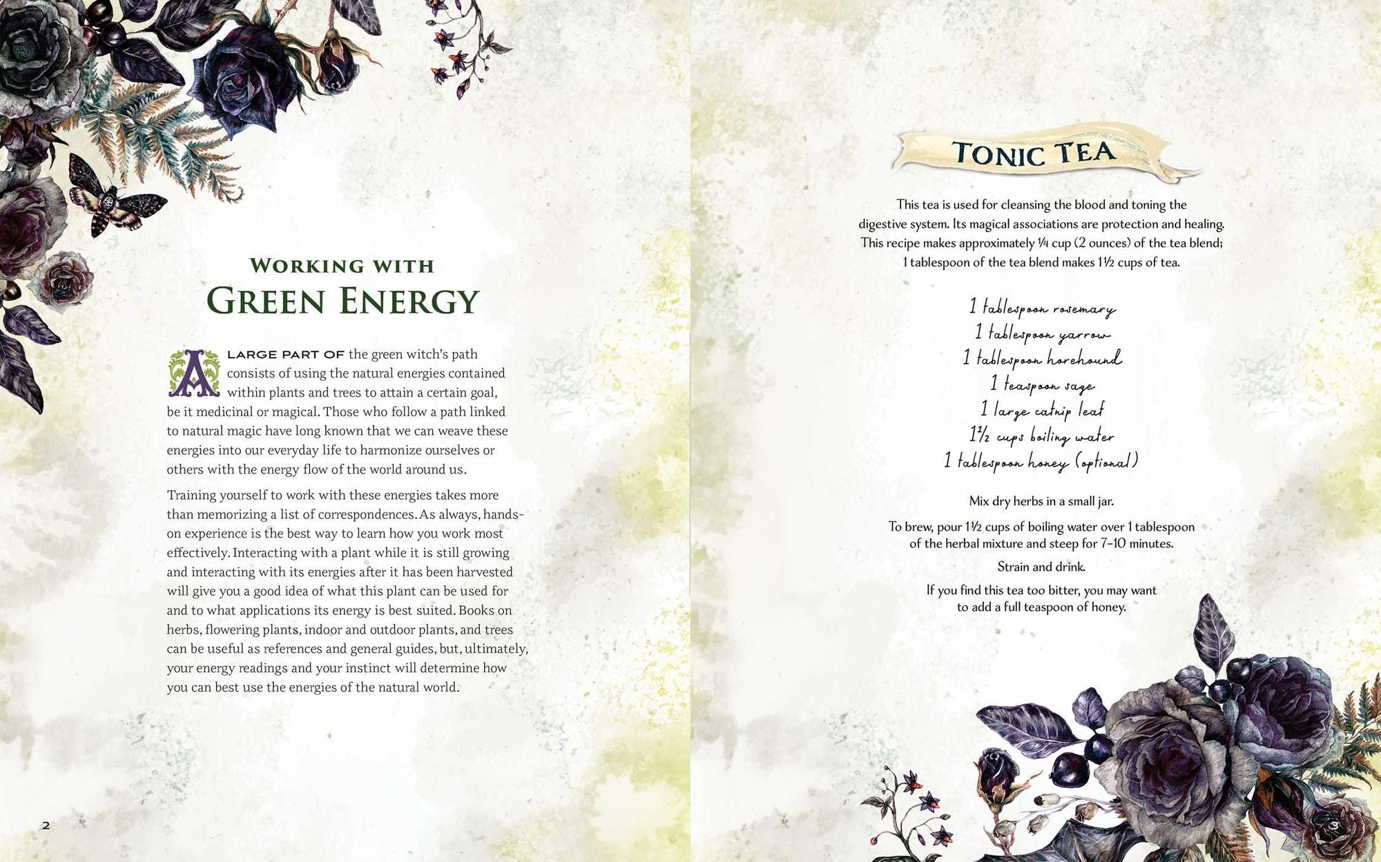 The Green Witch Illustrated: An Enchanting Immersion Into the Magic of Natural Witchcraft