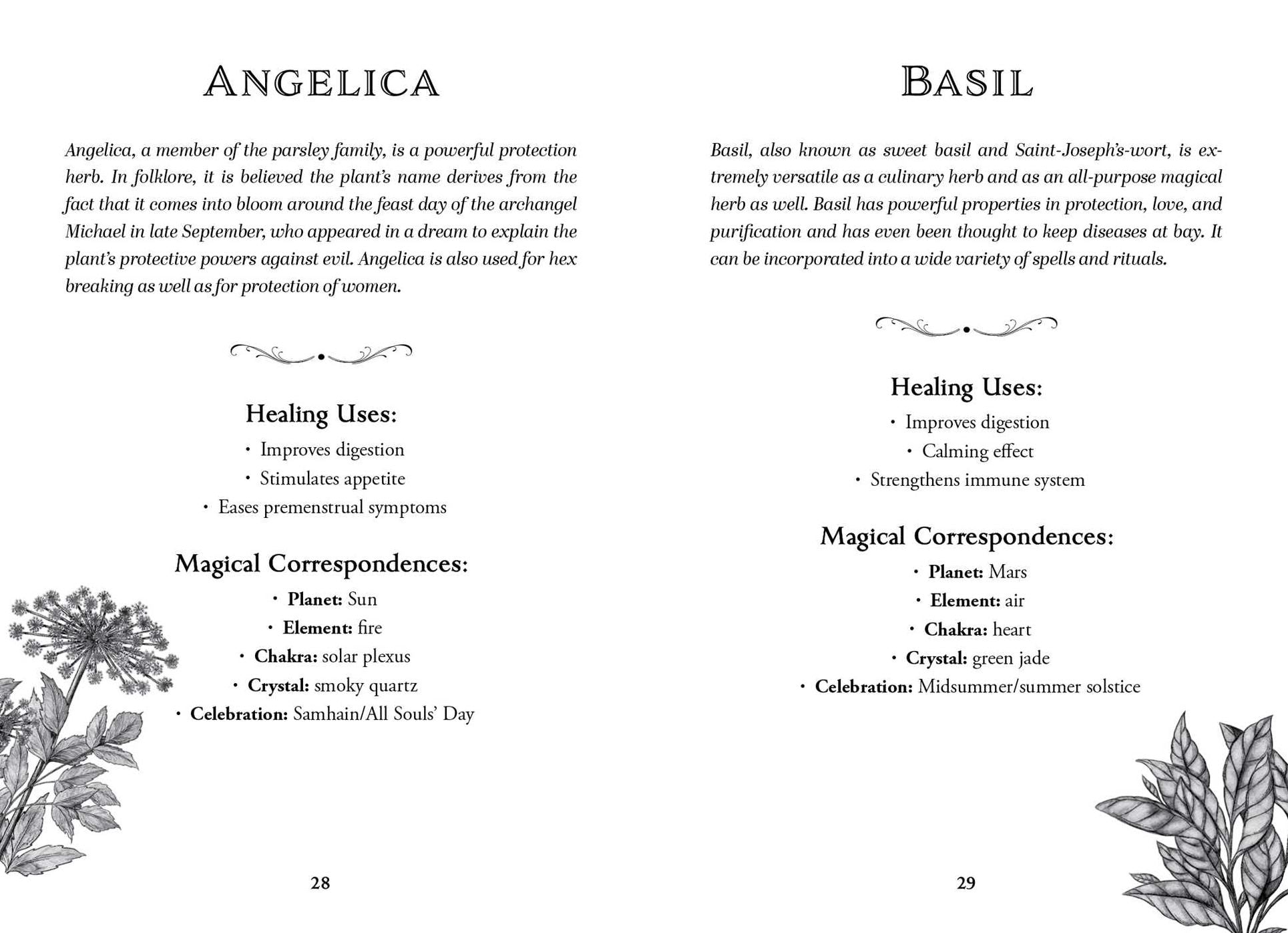 The Green Witch's Deck of Magical Herbalism: 50 of the Most Magical Plants, Herbs, and Flowers to Empower Your Craft