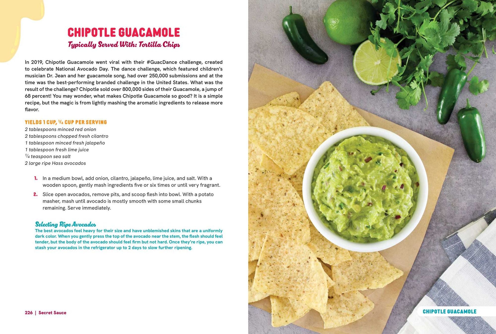 Secret Sauce: 200 Copycat Recipes to Re-Create Your Favorite Restaurant Sauces, Dips, and Dressings