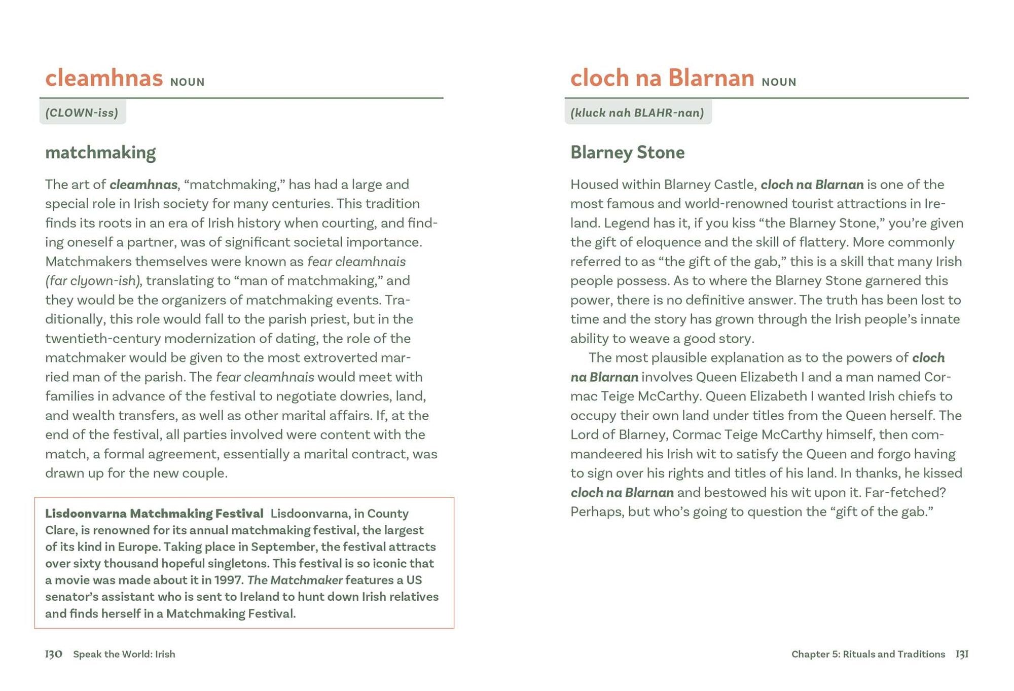 Irish: History & Culture Through Language