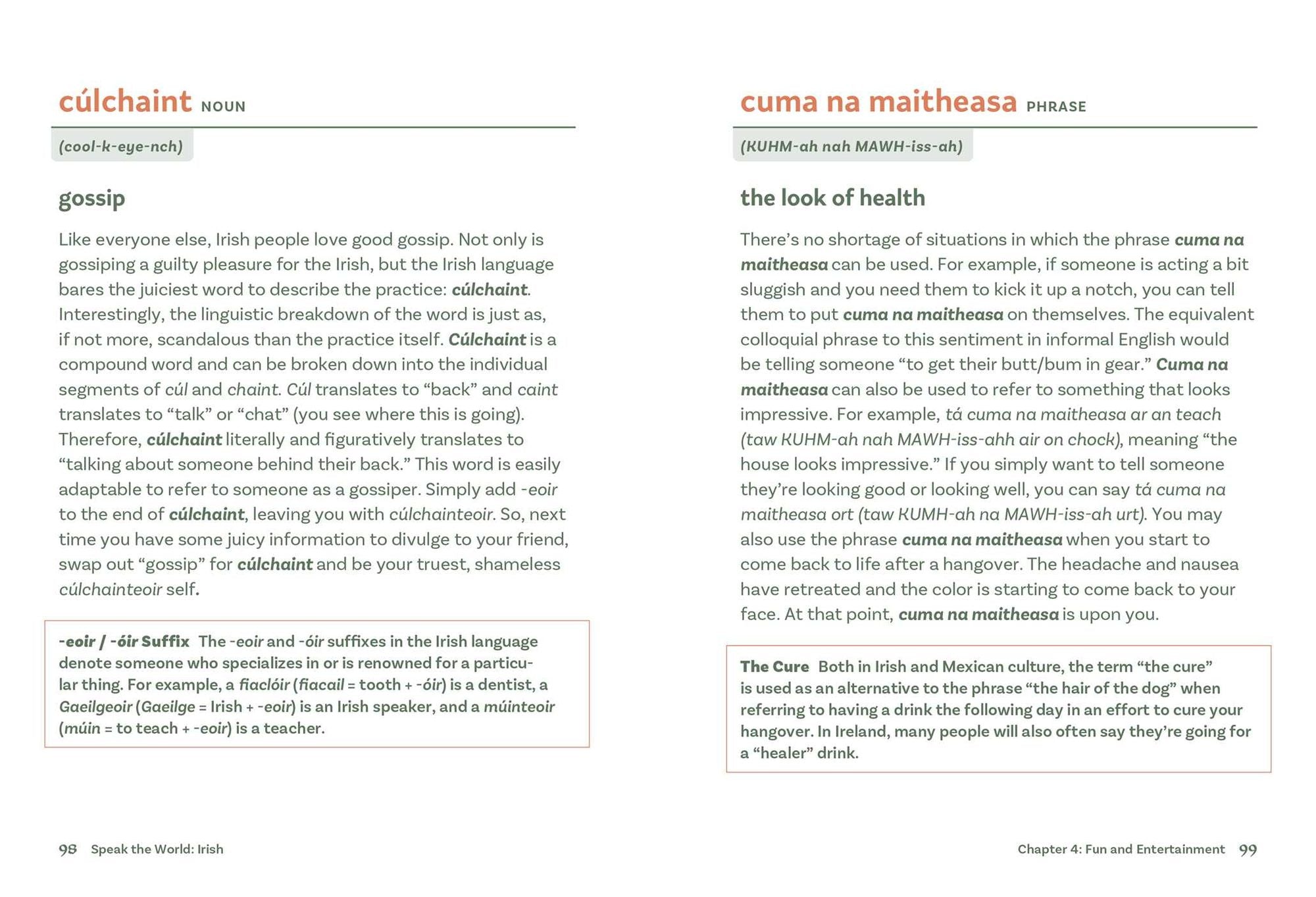 Irish: History & Culture Through Language