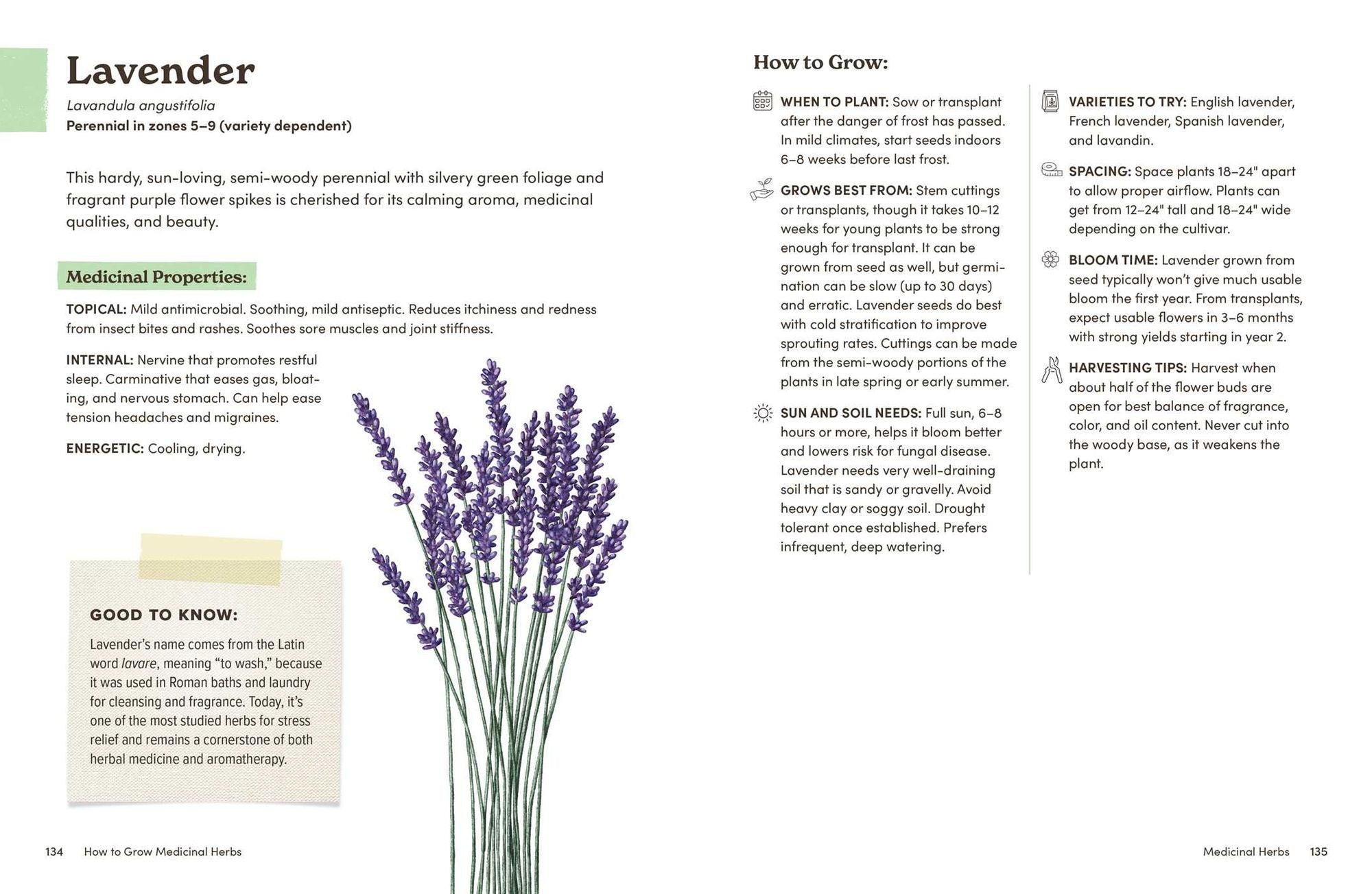 How to Grow Medicinal Herbs: An Illustrated Beginner's Guide to Growing, Harvesting, and Making Herbal Remedies at Home