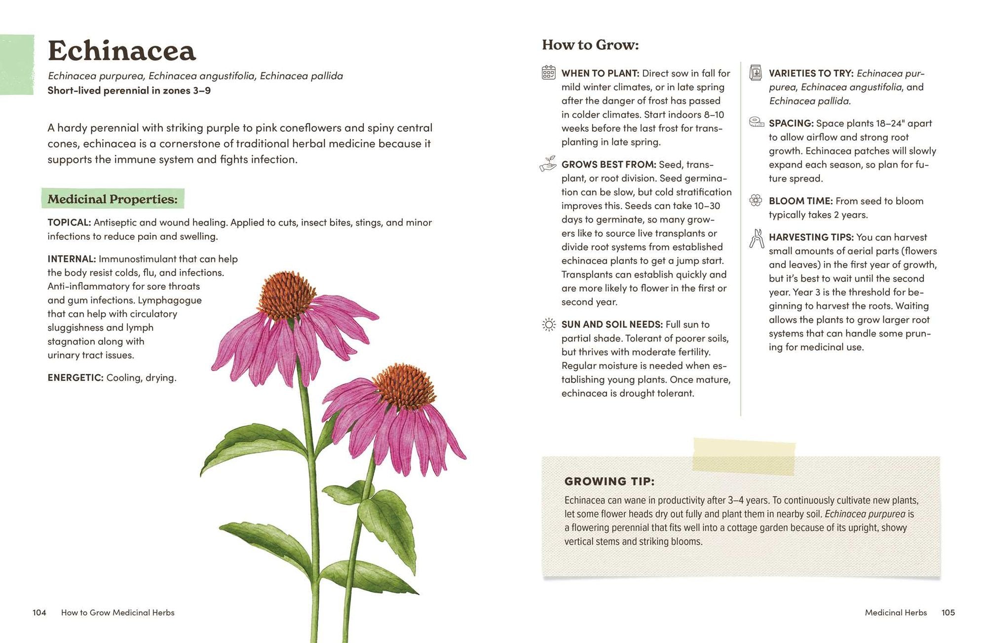 How to Grow Medicinal Herbs: An Illustrated Beginner's Guide to Growing, Harvesting, and Making Herbal Remedies at Home