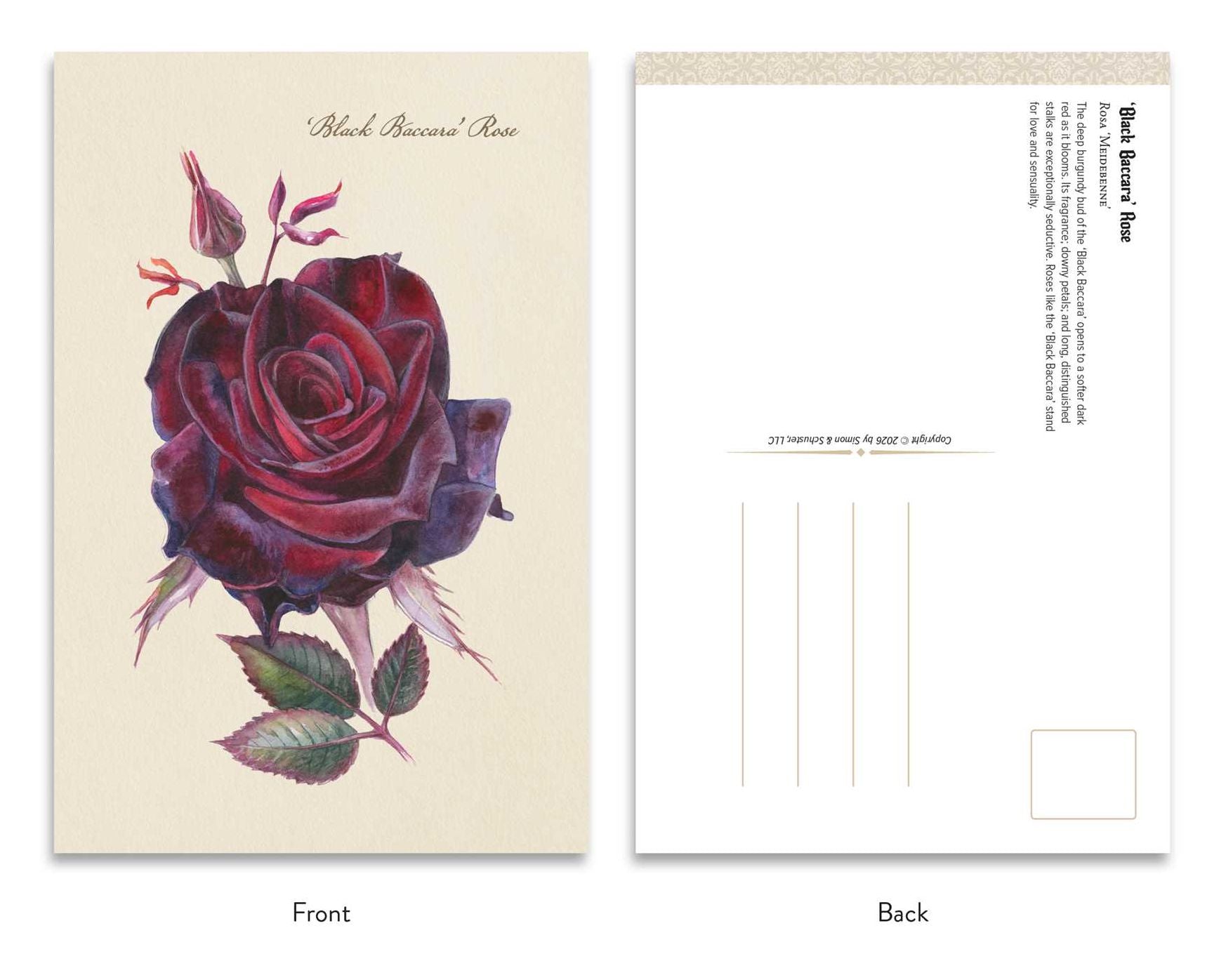 The Goth Garden: Dark Blooms: 50 Postcards Featuring the Mystery and Beauty of the Goth Garden