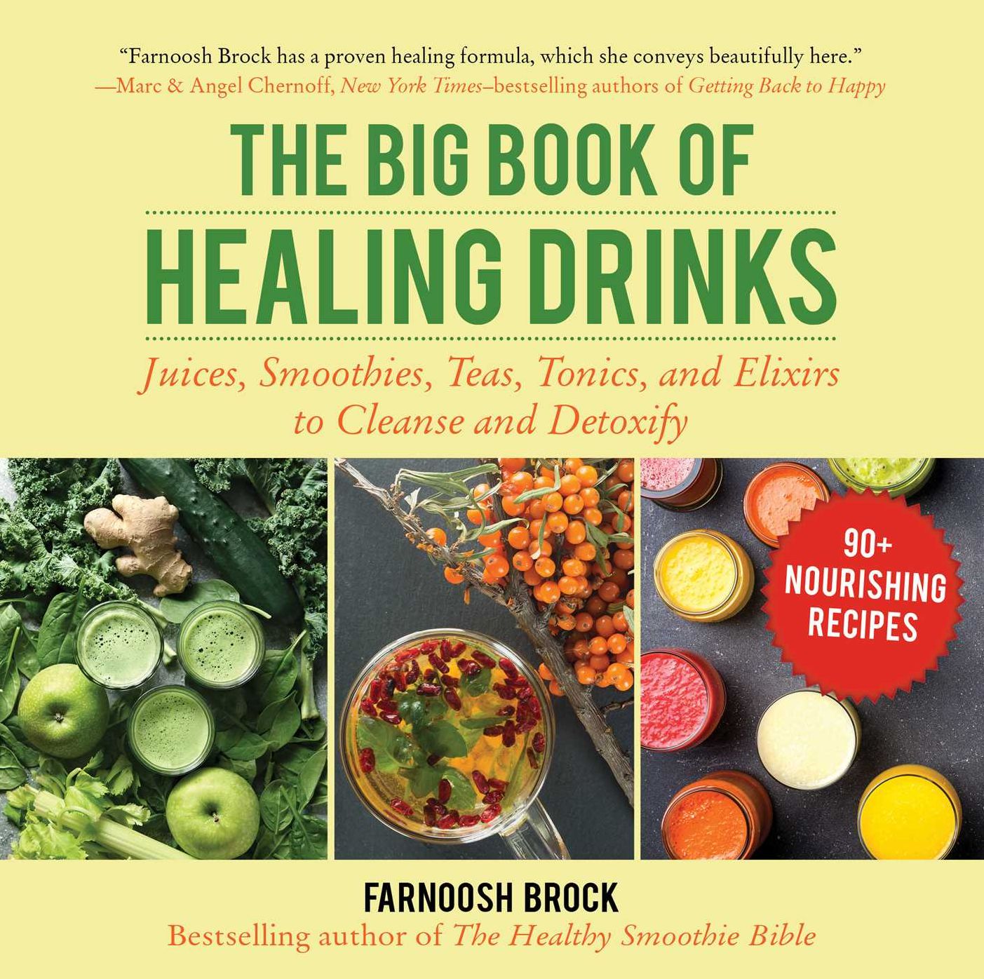 The Big Book of Healing Drinks: Juices, Smoothies, Teas, Tonics, and Elixirs to Cleanse and Detoxify
