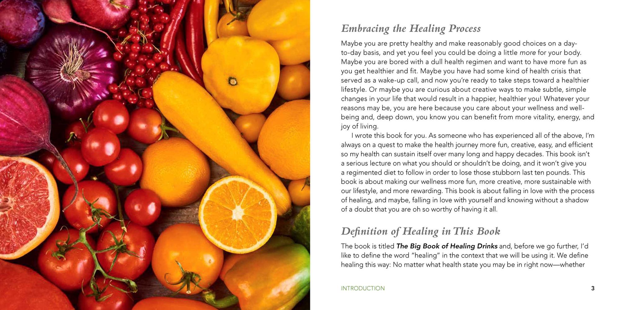 The Big Book of Healing Drinks: Juices, Smoothies, Teas, Tonics, and Elixirs to Cleanse and Detoxify
