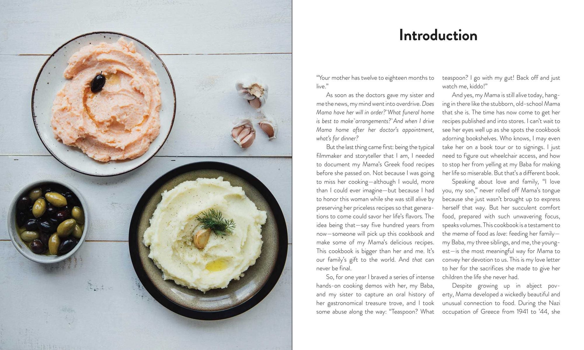 My Big Fat Greek Cookbook: Classic Mediterranean Soul Food Recipes