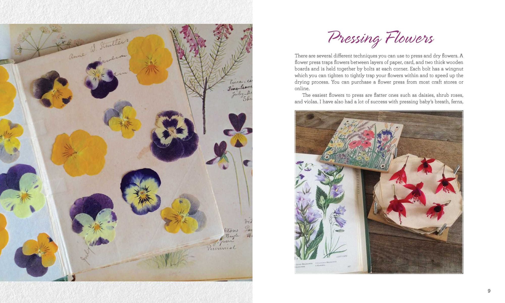 Crafting with Flowers: Pressed Flower Decorations, Herbariums, and Gifts for Every Season