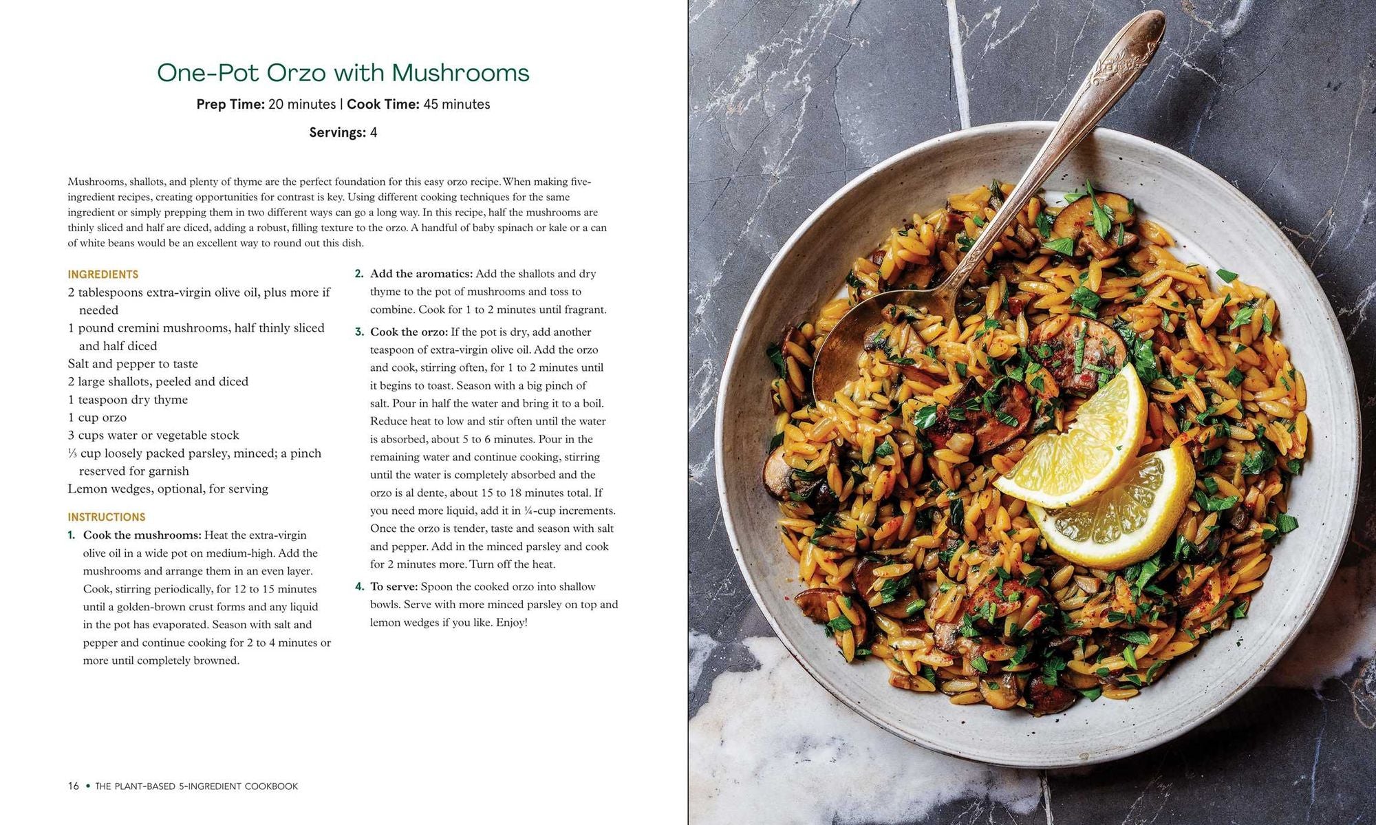 The Plant-Based 5-Ingredient Cookbook: Fast & Flavorful Recipes Made Vegan