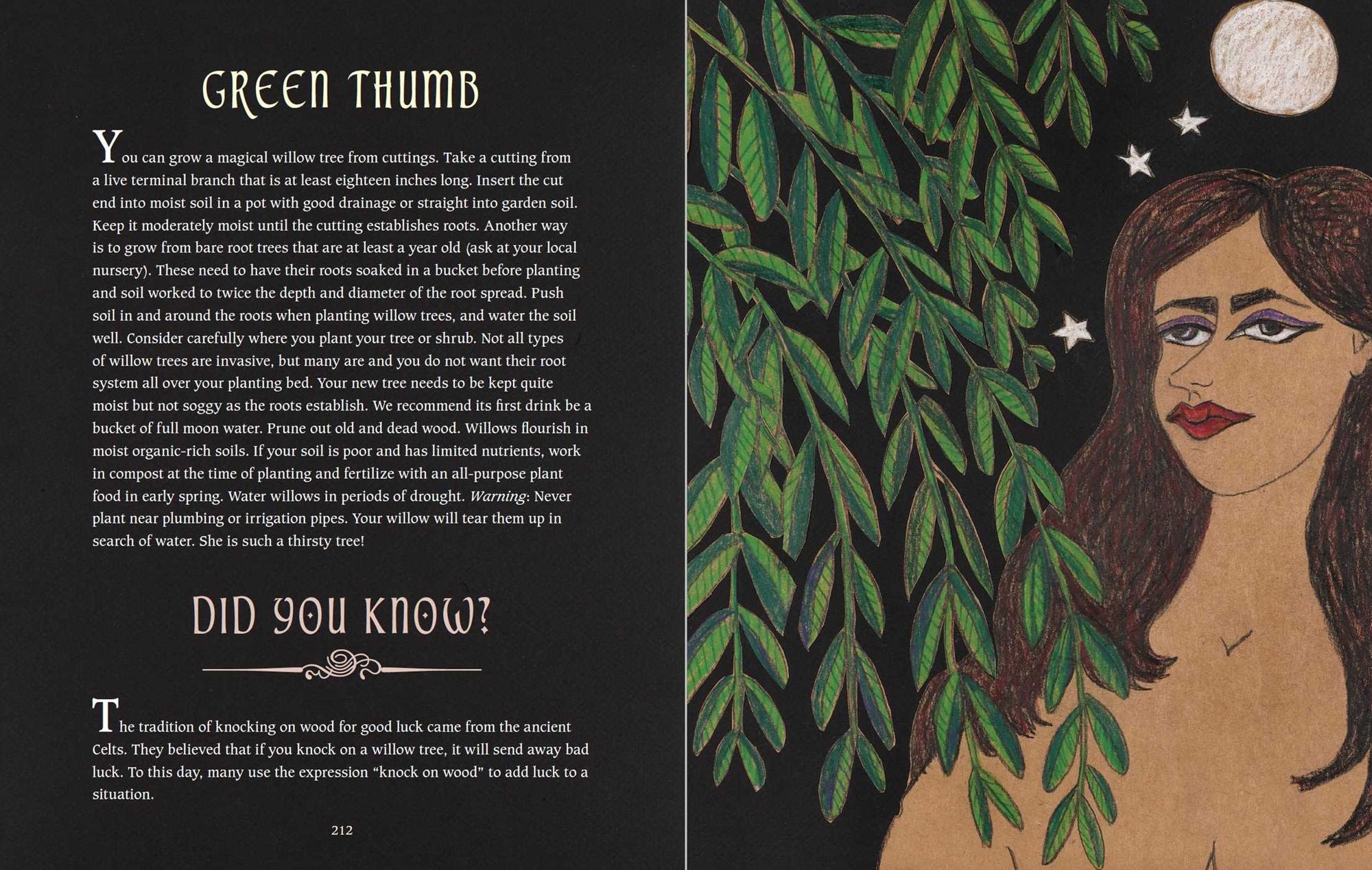 The Green Witch's Guide to Magical Plants & Flowers: 26 Love Spells from Apples to Zinnias
