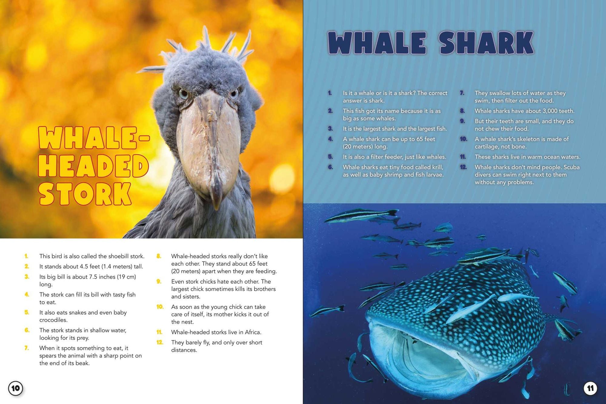 World Almanac Oddball Animals: 2,501 Fantastic Facts About the Weirdest, Wackiest, and Wildest Creatures on Earth