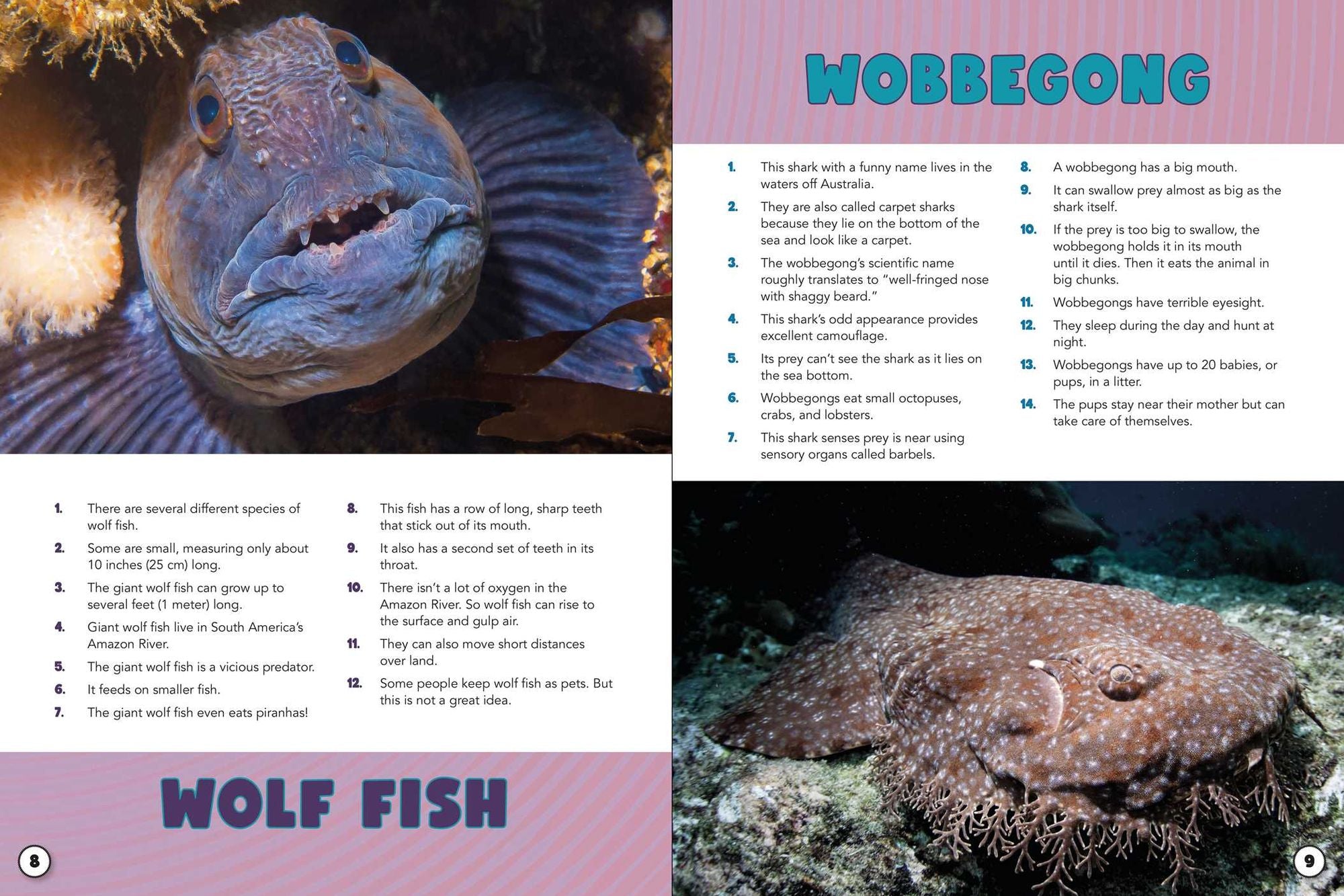 World Almanac Oddball Animals: 2,501 Fantastic Facts About the Weirdest, Wackiest, and Wildest Creatures on Earth