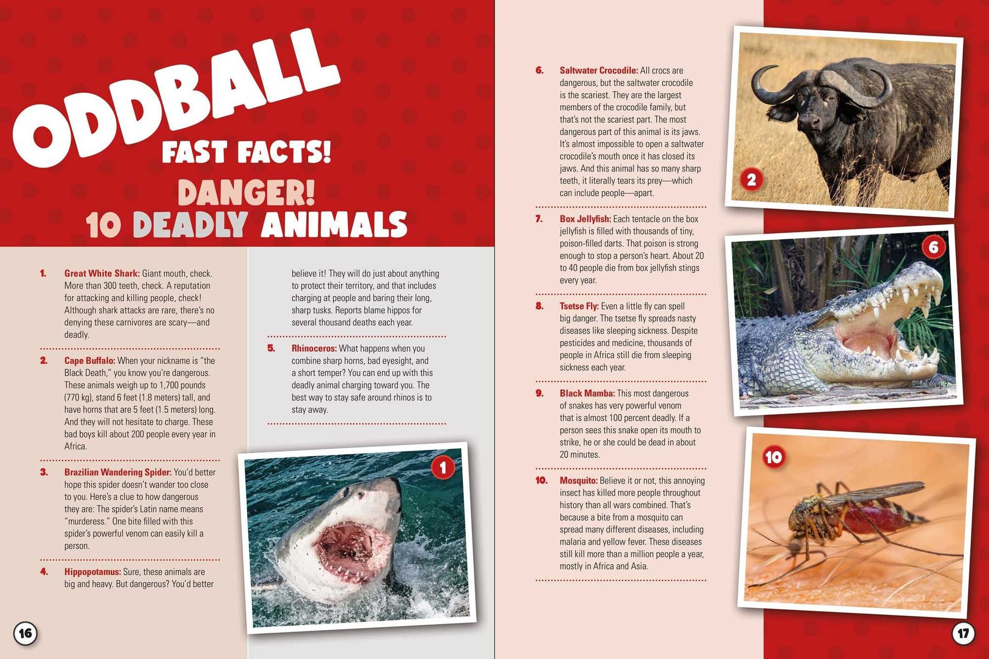 World Almanac Oddball Animals: 2,501 Fantastic Facts About the Weirdest, Wackiest, and Wildest Creatures on Earth