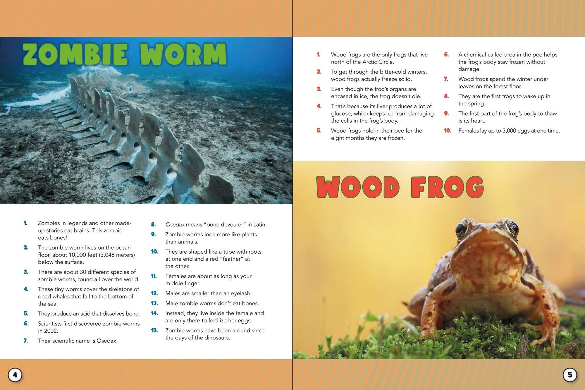 World Almanac Oddball Animals: 2,501 Fantastic Facts About the Weirdest, Wackiest, and Wildest Creatures on Earth