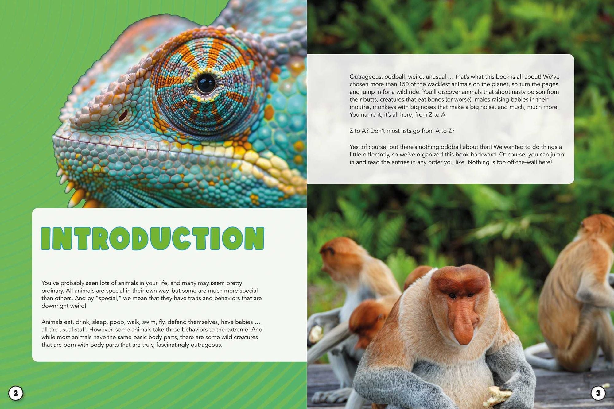 World Almanac Oddball Animals: 2,501 Fantastic Facts About the Weirdest, Wackiest, and Wildest Creatures on Earth
