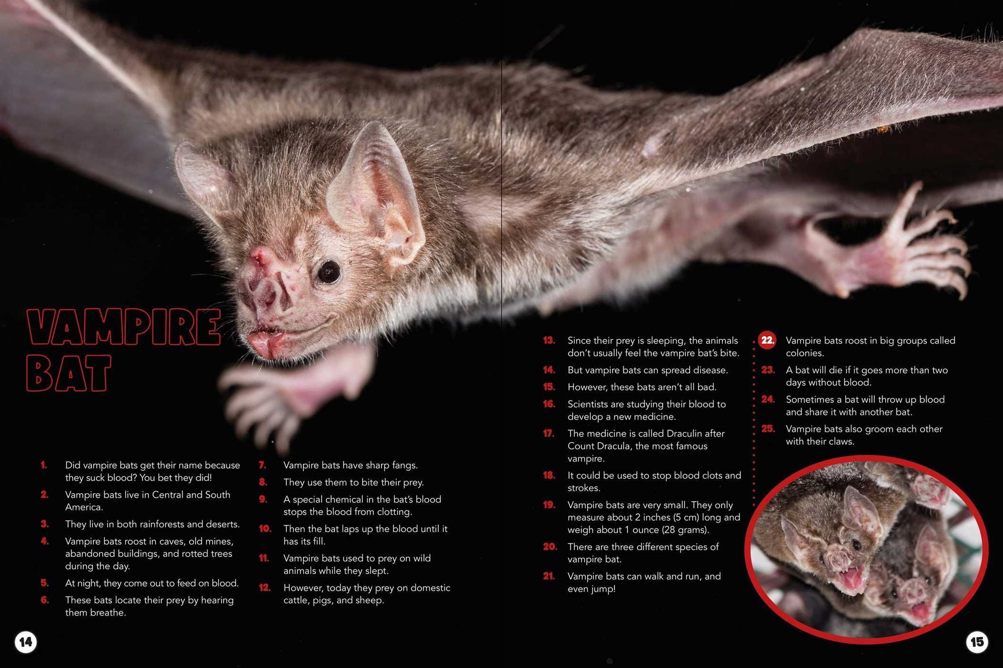 World Almanac Oddball Animals: 2,501 Fantastic Facts About the Weirdest, Wackiest, and Wildest Creatures on Earth