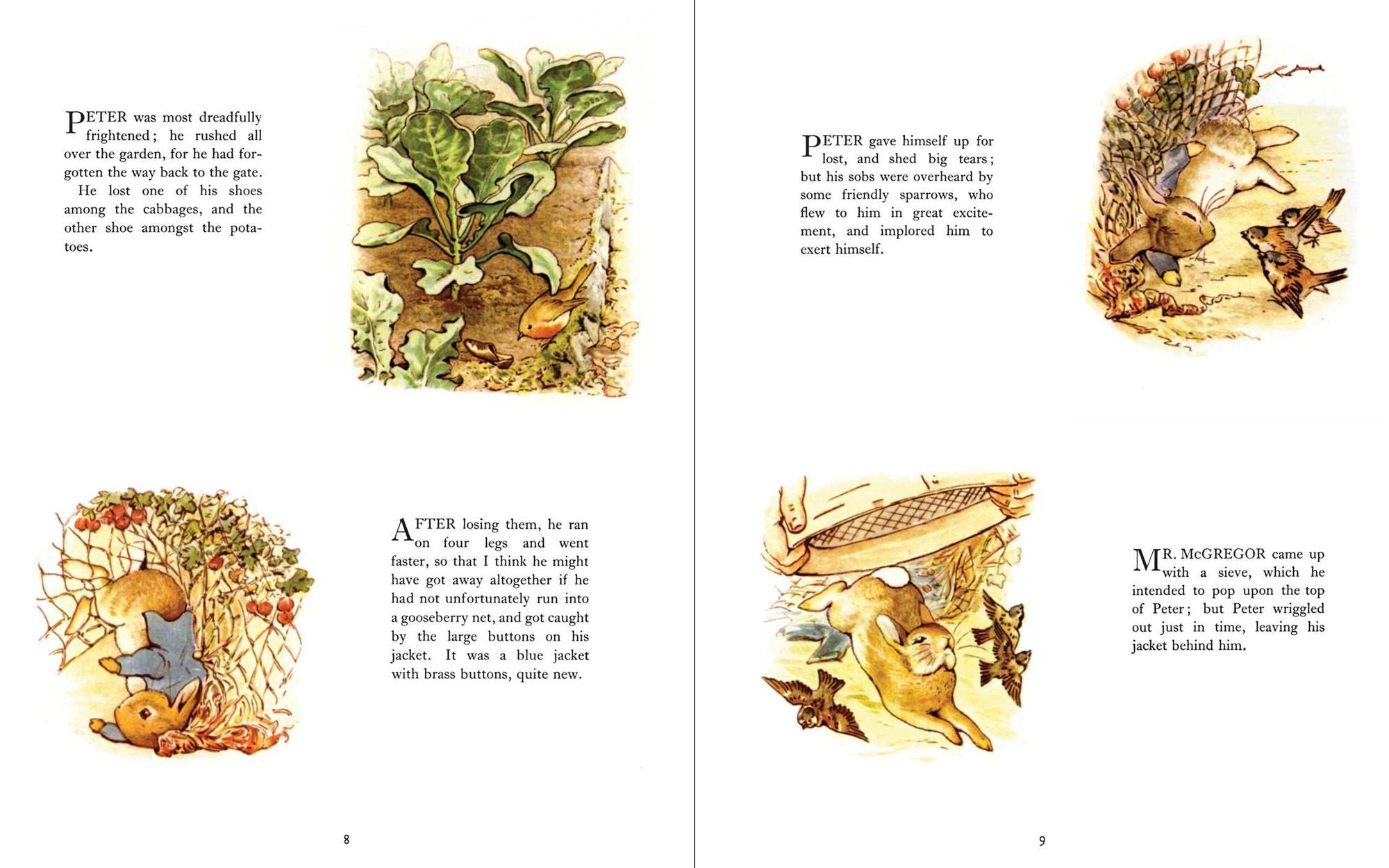 The Essential Beatrix Potter Storytime Collection: The Original Classics Featuring Peter Rabbit and His Famous Friends