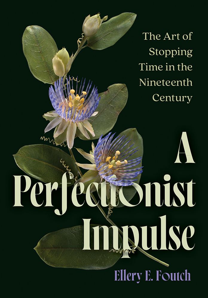 A Perfectionist Impulse: The Art of Stopping Time in the Nineteenth Century