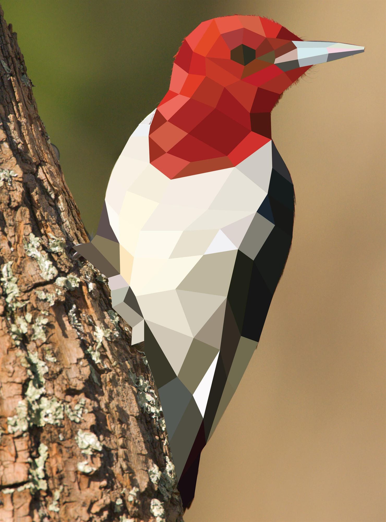 Paint by Sticker (Official): Birds: Create 12 Stunning Images One Sticker at a Time!