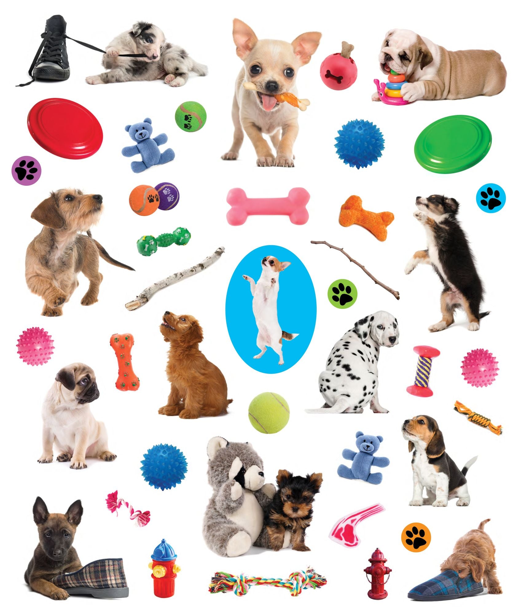 Eyelike Stickers: Puppies