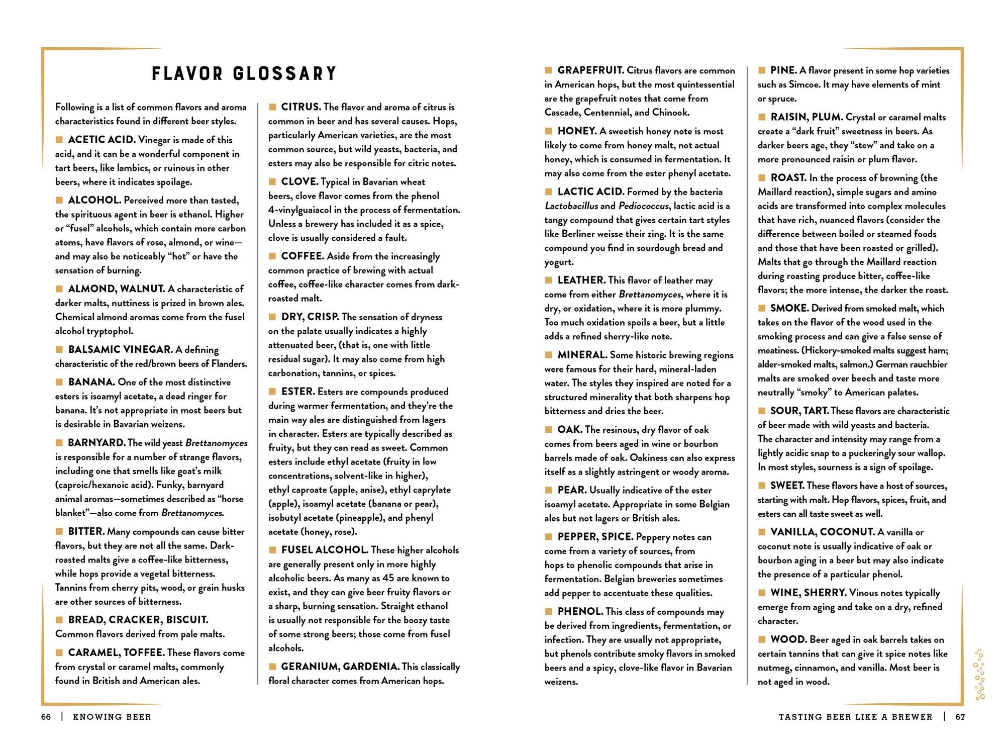 The Beer Bible: Second Edition