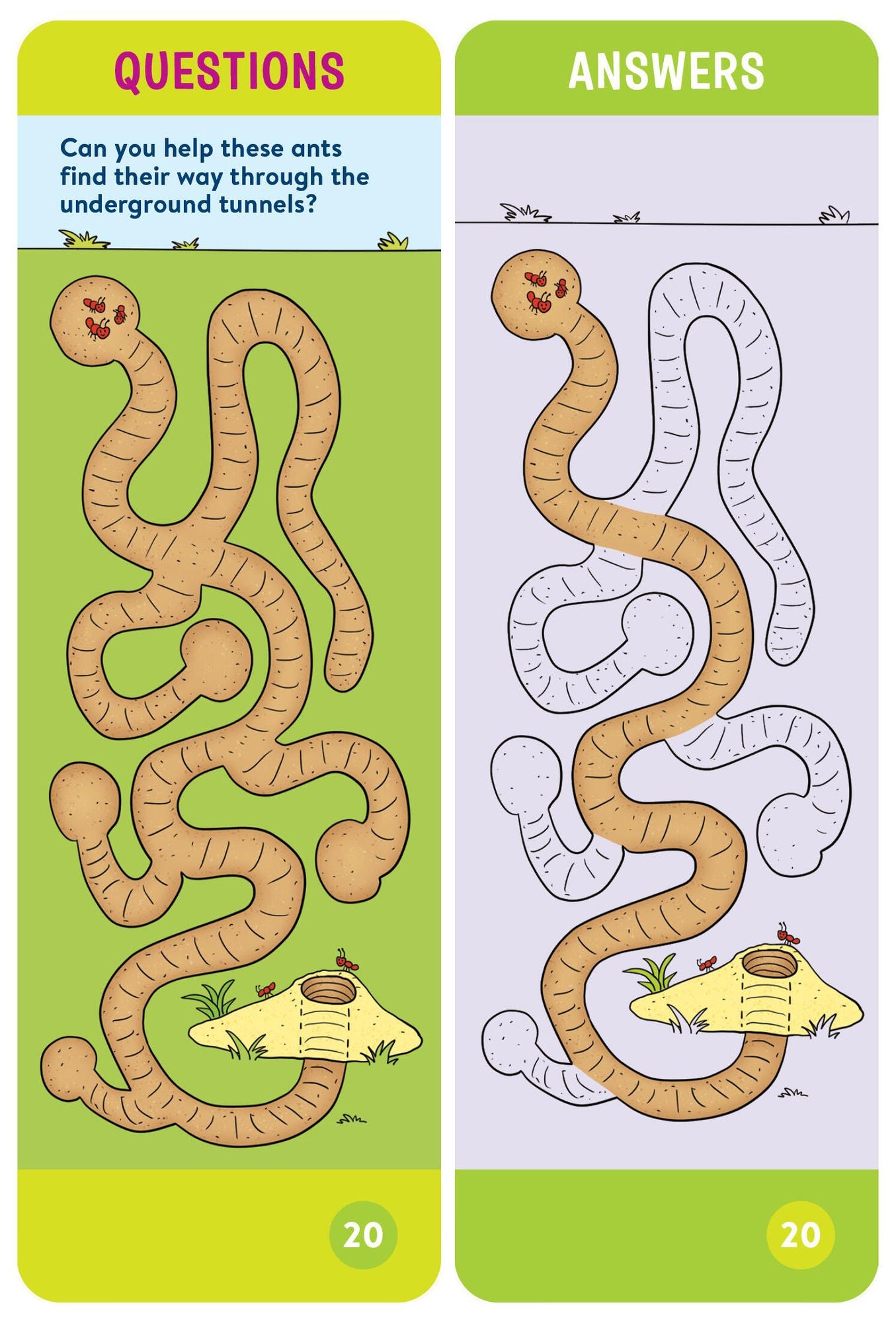 Brain Quest Pre-Kindergarten Smart Cards Revised 5th Edition