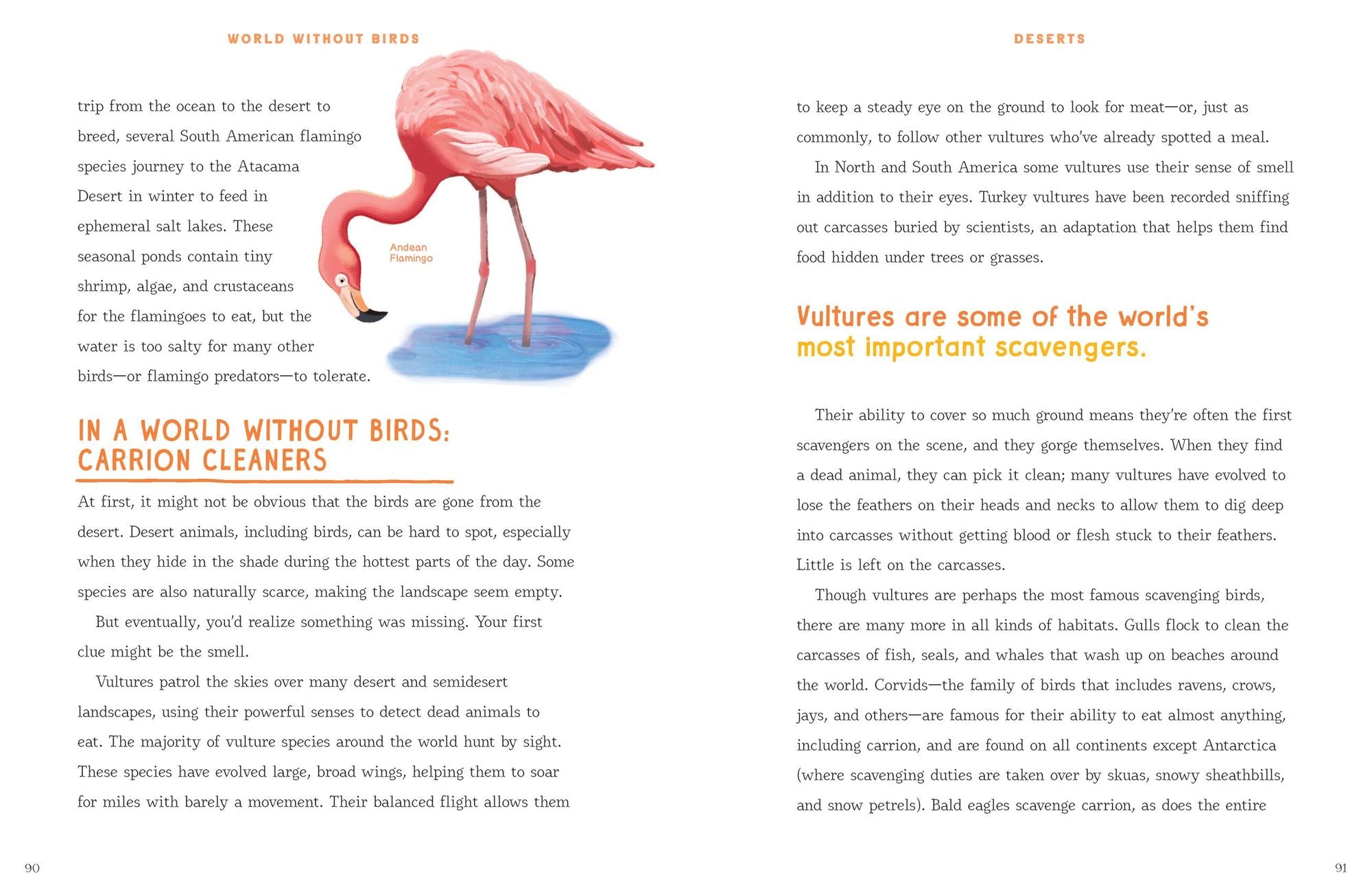 World Without Birds: How to Save Our Planet, One Bird at a Time