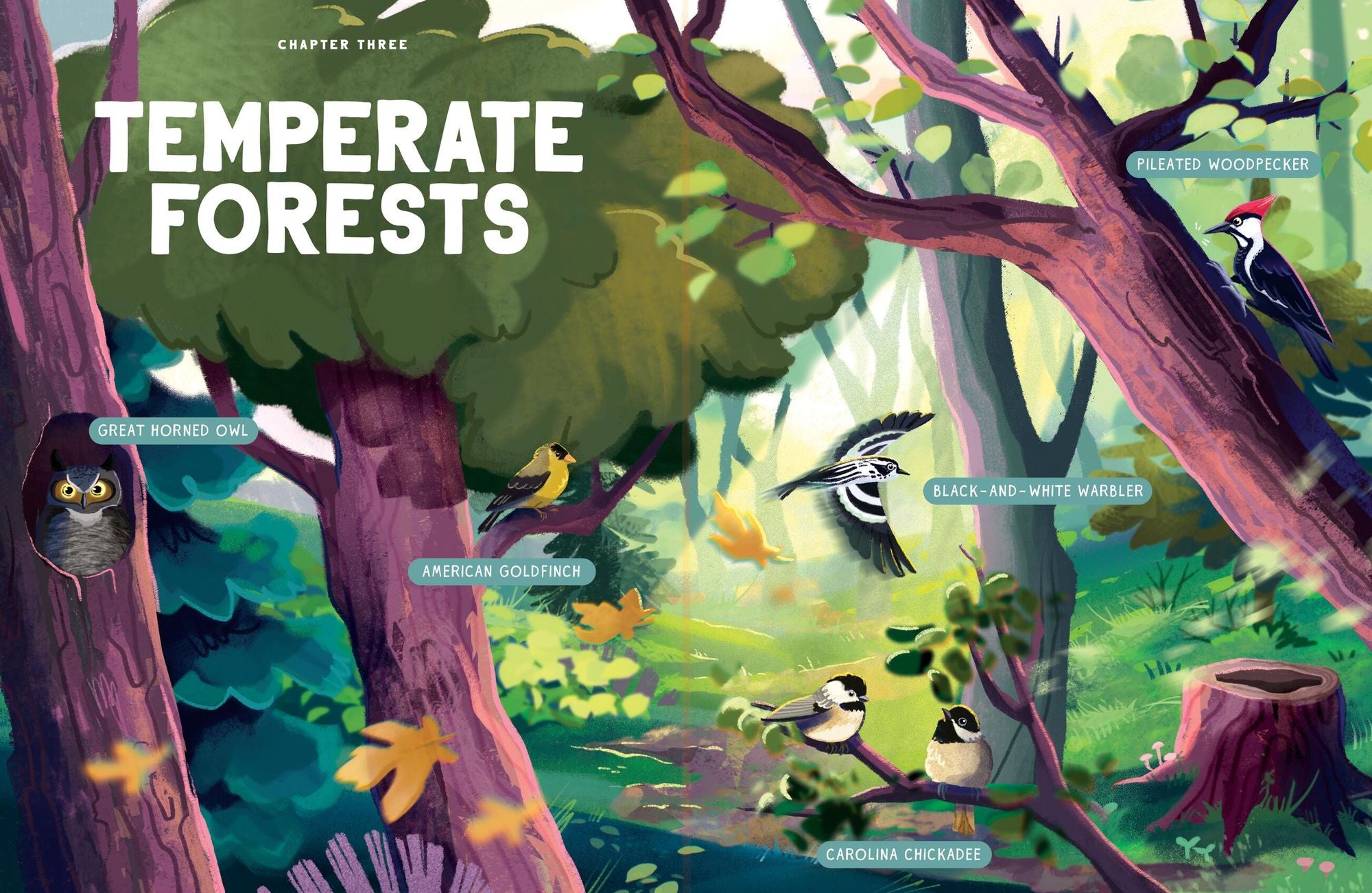 World Without Birds: How to Save Our Planet, One Bird at a Time