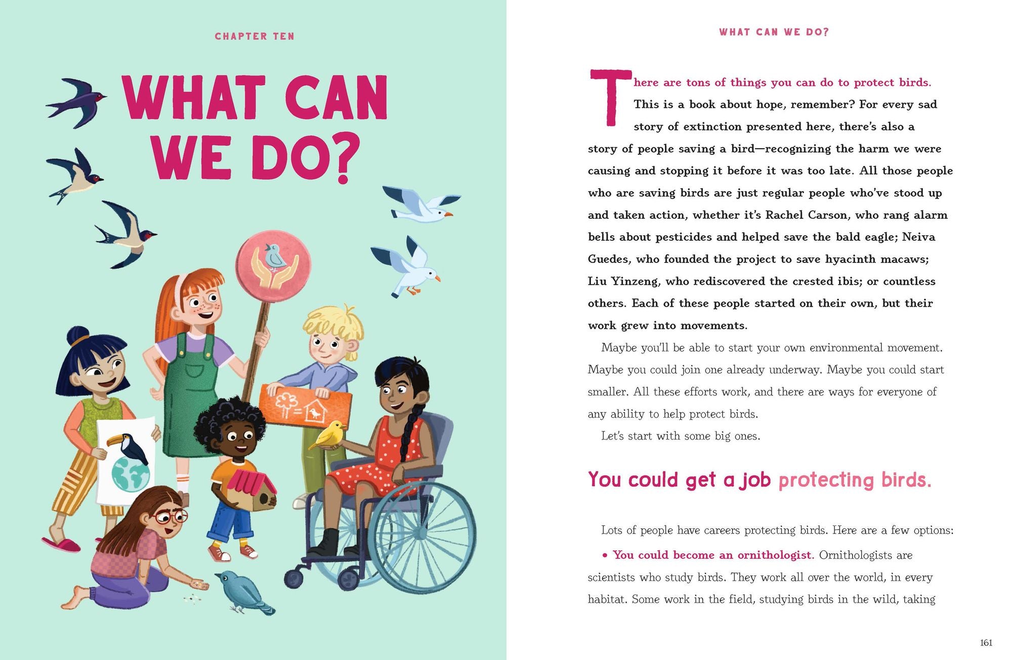 World Without Birds: How to Save Our Planet, One Bird at a Time